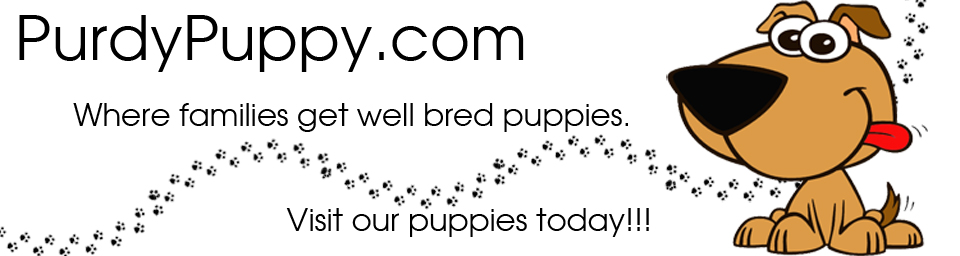 Purdypuppy.com