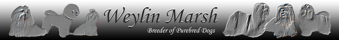 PurdyPuppy.com  - Connecting Well Bred Puppies with Families
