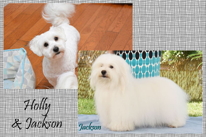 Holly&Jackson
