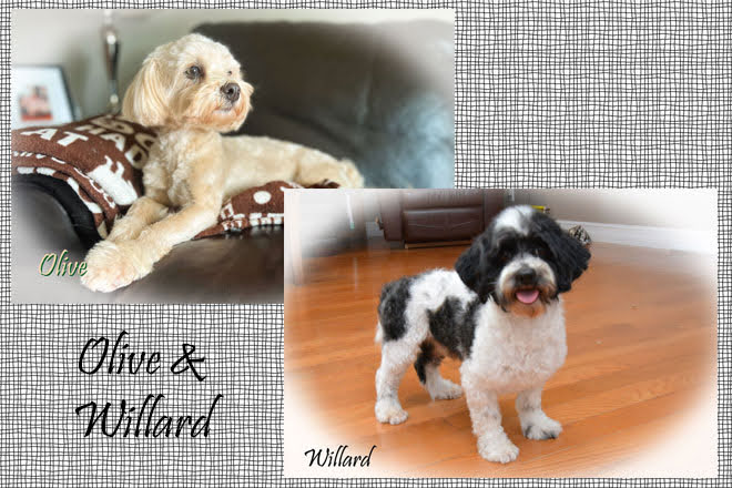 Olive&Willard